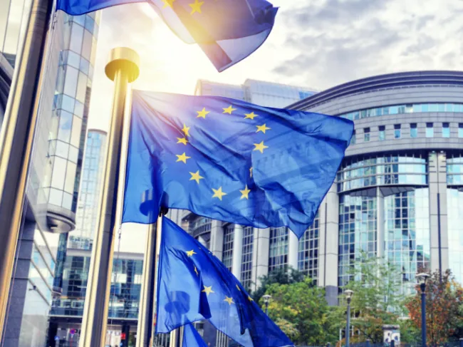 european union flags
